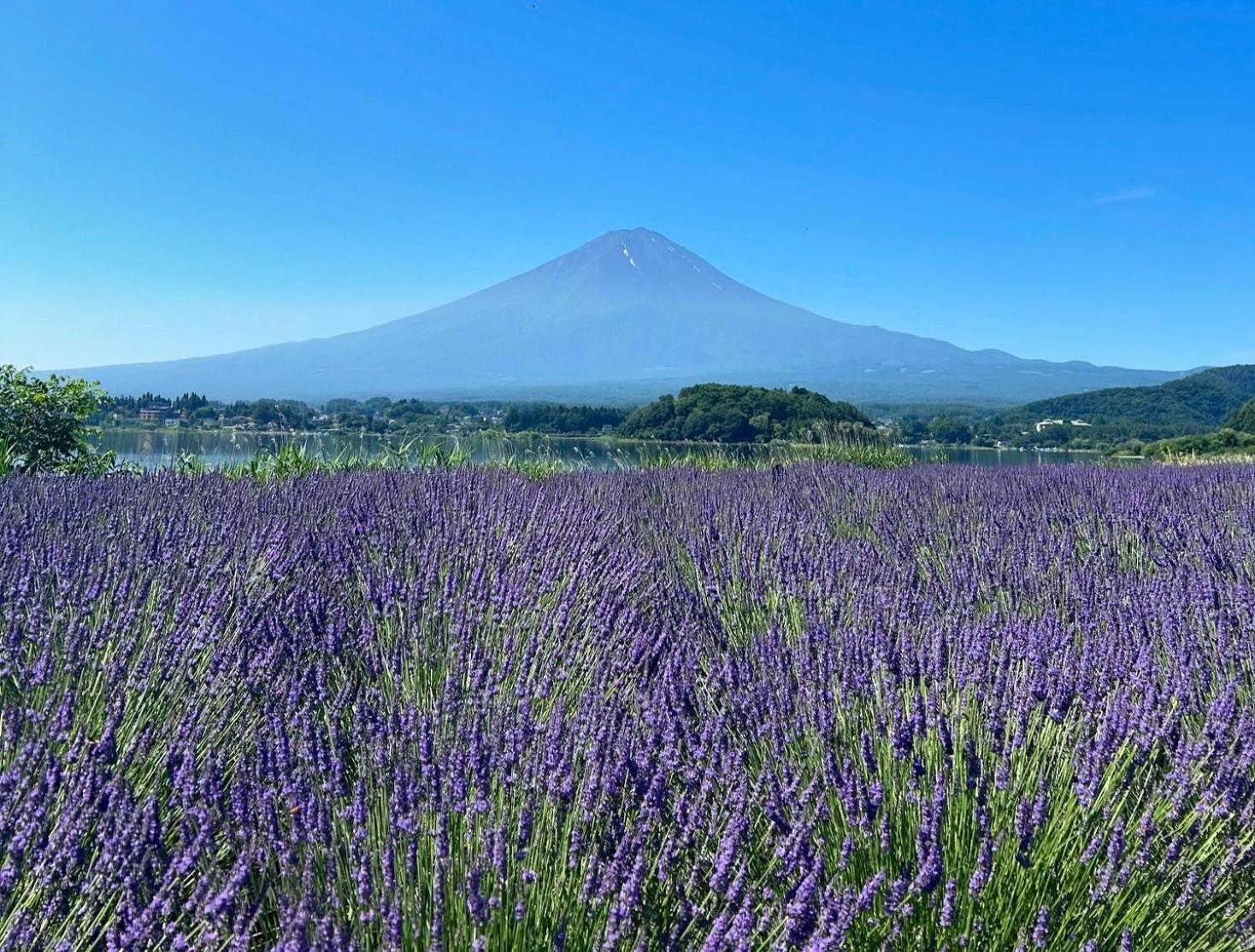 Holiday Home Furinkazan 風林火山 Fujikawaguchiko Zewnętrze zdjęcie